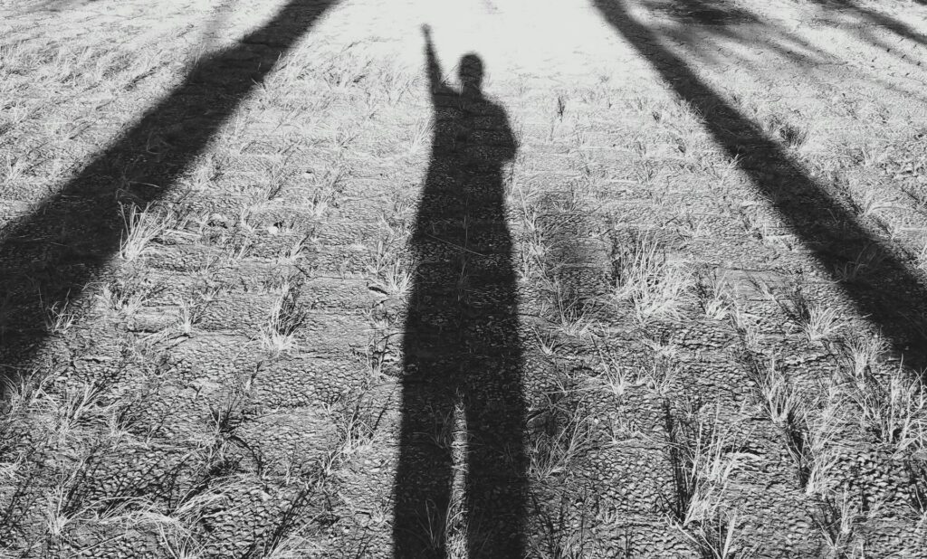 Las familias ante la oferta de educación no formal